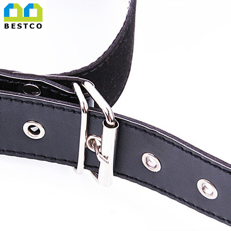 B-ASM4 leather Leg restraint